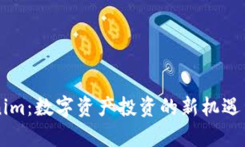 国内Tokenim：数字资产投资的新机遇与风险分析