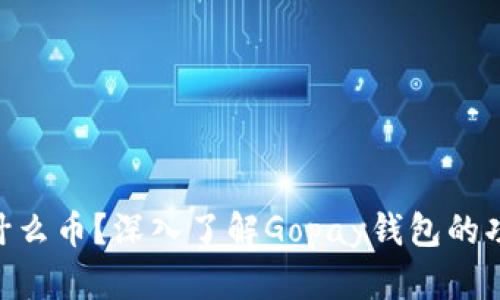 Gopay钱包是什么币？深入了解Gopay钱包的功能与使用场景