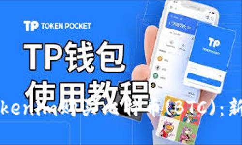 如何通过Tokenim购买比特币(BTC)：新手必看指南