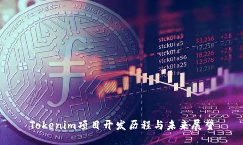 Tokenim项目开发历程与未来展望