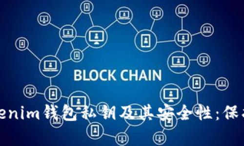 : 深度解析Tokenim钱包私钥及其安全性：保护你的数字资产