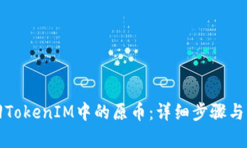 如何找回TokenIM中的原币：详细步骤与案例分析