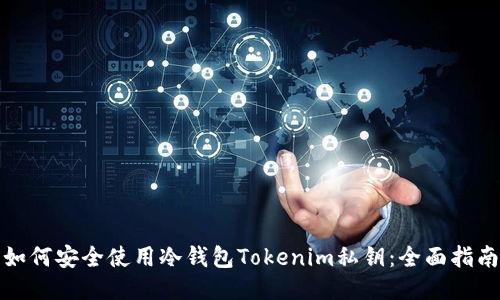 如何安全使用冷钱包Tokenim私钥：全面指南