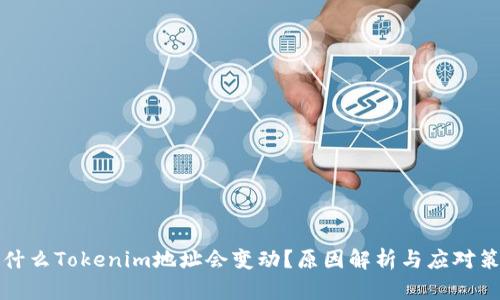 为什么Tokenim地址会变动？原因解析与应对策略