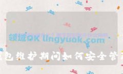 Tokenim钱包维护期间如何安全管理数字