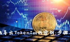 如何安全地导出TokenIm的密钥：步骤与