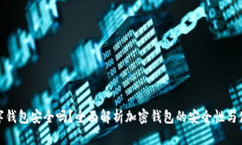 加密数字钱包安全吗？全面解析加密钱包的安全性与使用技巧
