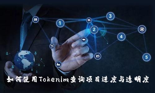 如何使用Tokenim查询项目进度与透明度