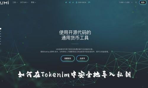 如何在Tokenim中安全地导入私钥