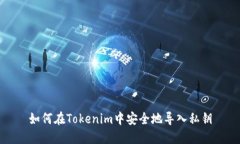 如何在Tokenim中安全地导入私钥