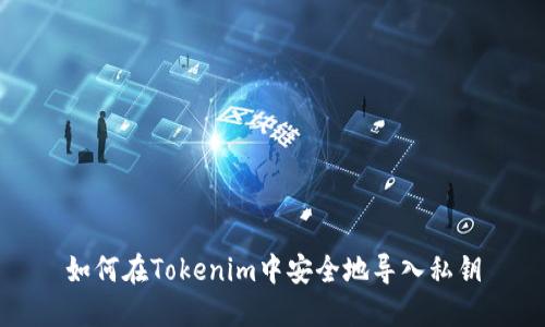 如何在Tokenim中安全地导入私钥